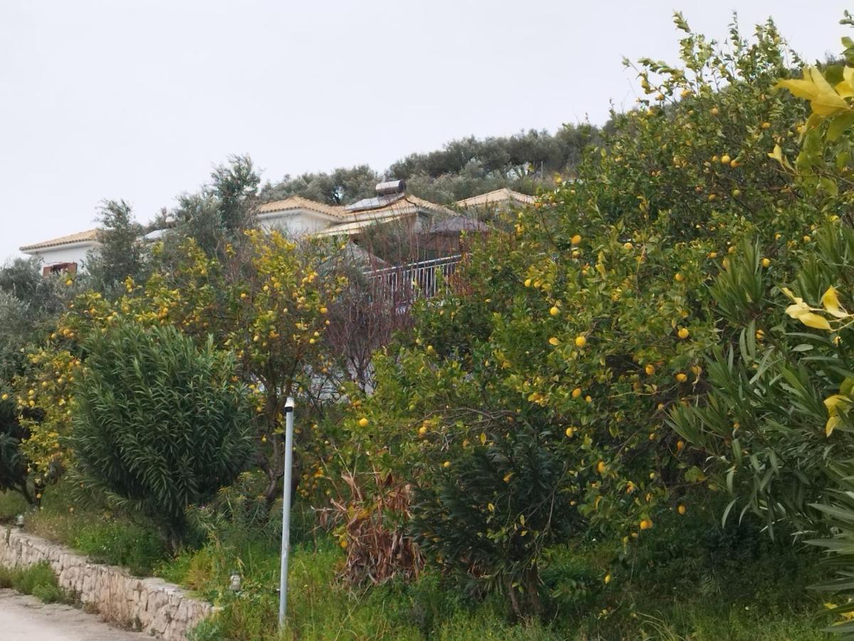 Mary'S Panorama Houses Гиалова Экстерьер фото